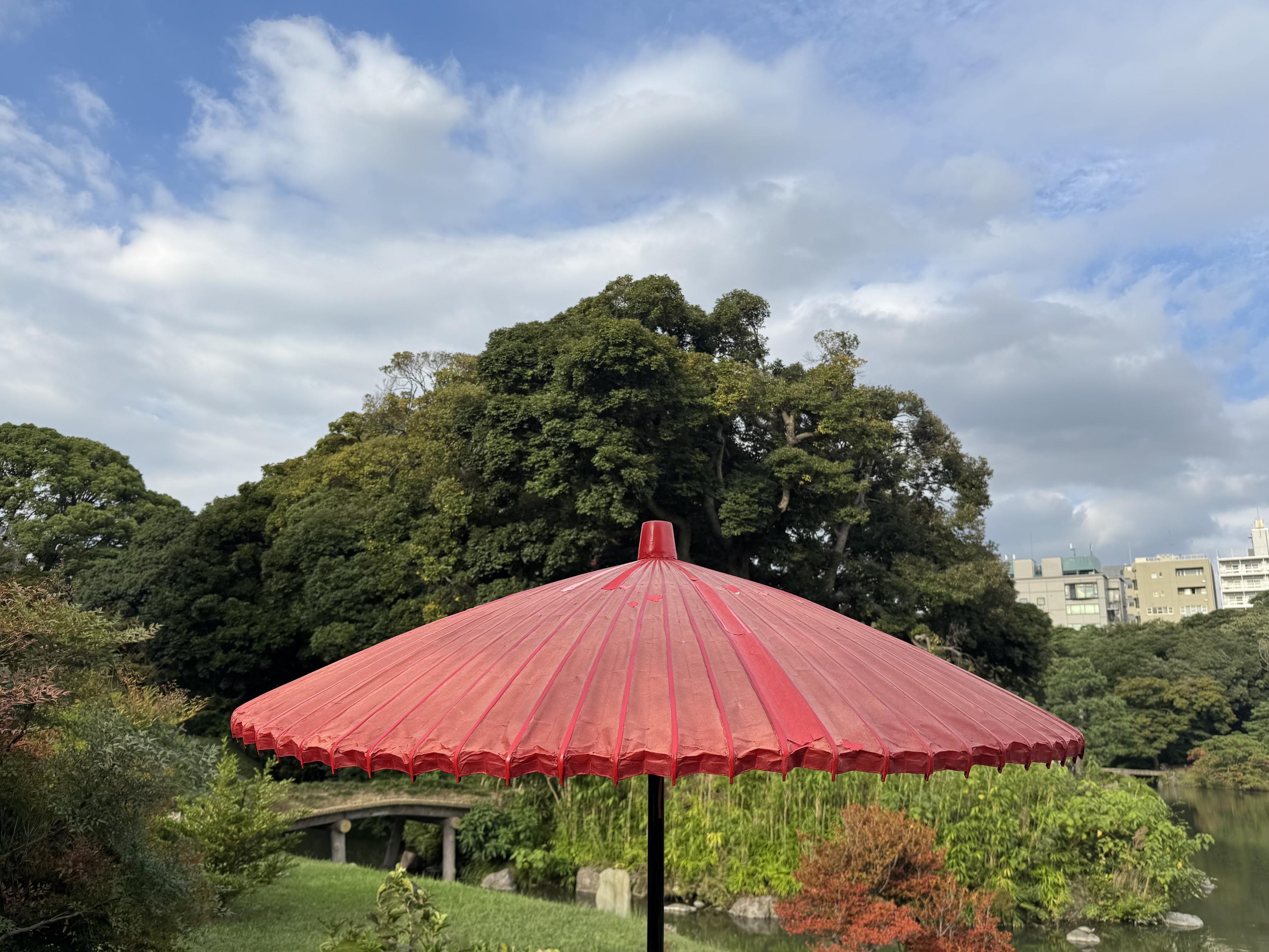 Red parasol in front of a large tree in a park with cloudy sky with blue spots
