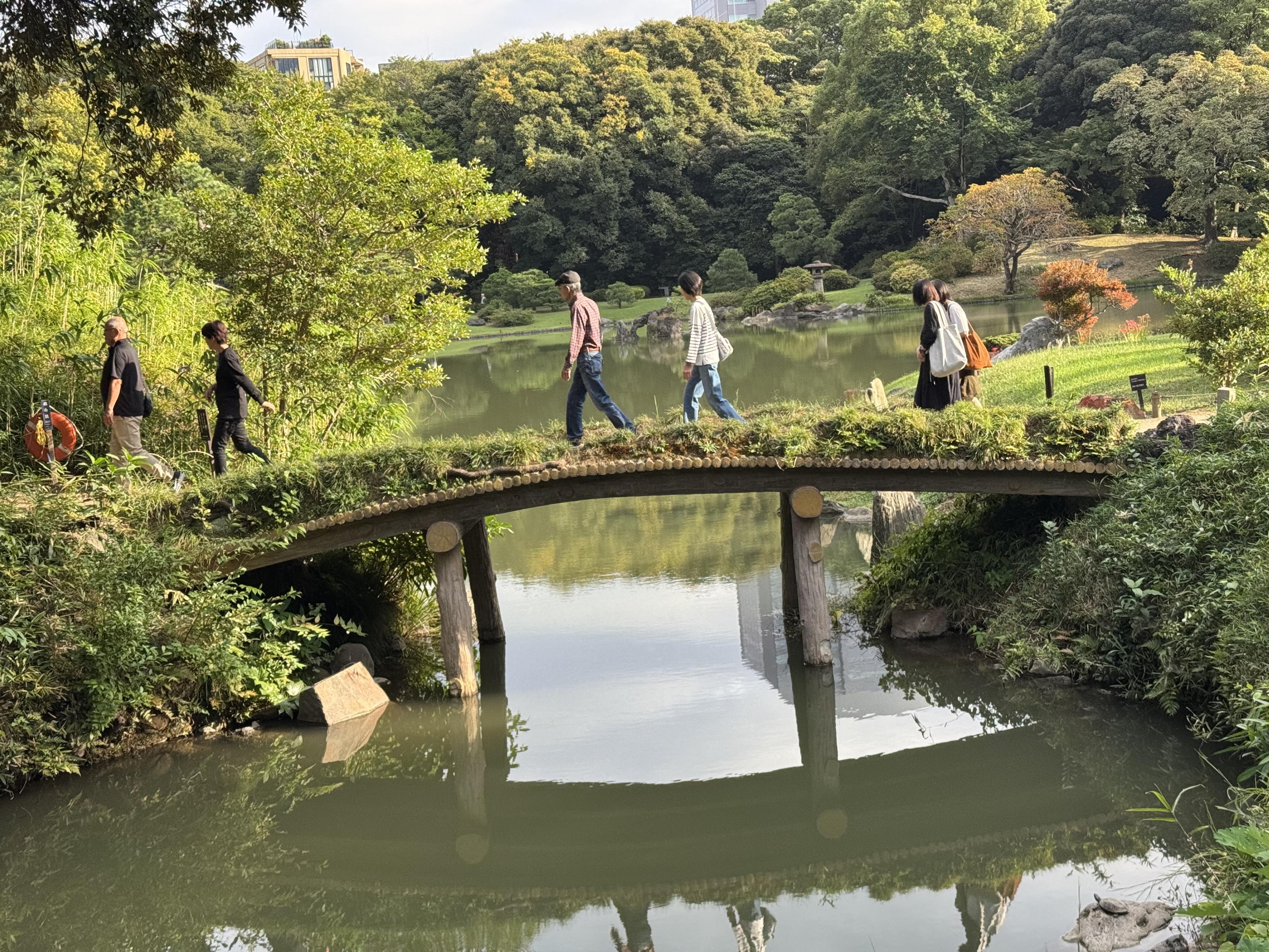 A wood bridge with people crossing it. It has low growth ferns o. Top and bridges a little river that forks off a lake in a park. Lots of green trees around.
